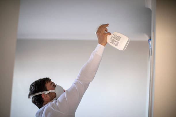 Best Home Mold Removal  in New Fairview, TX